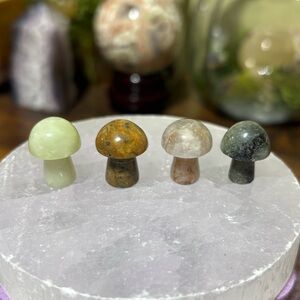 Mini crystal mushroom bundle